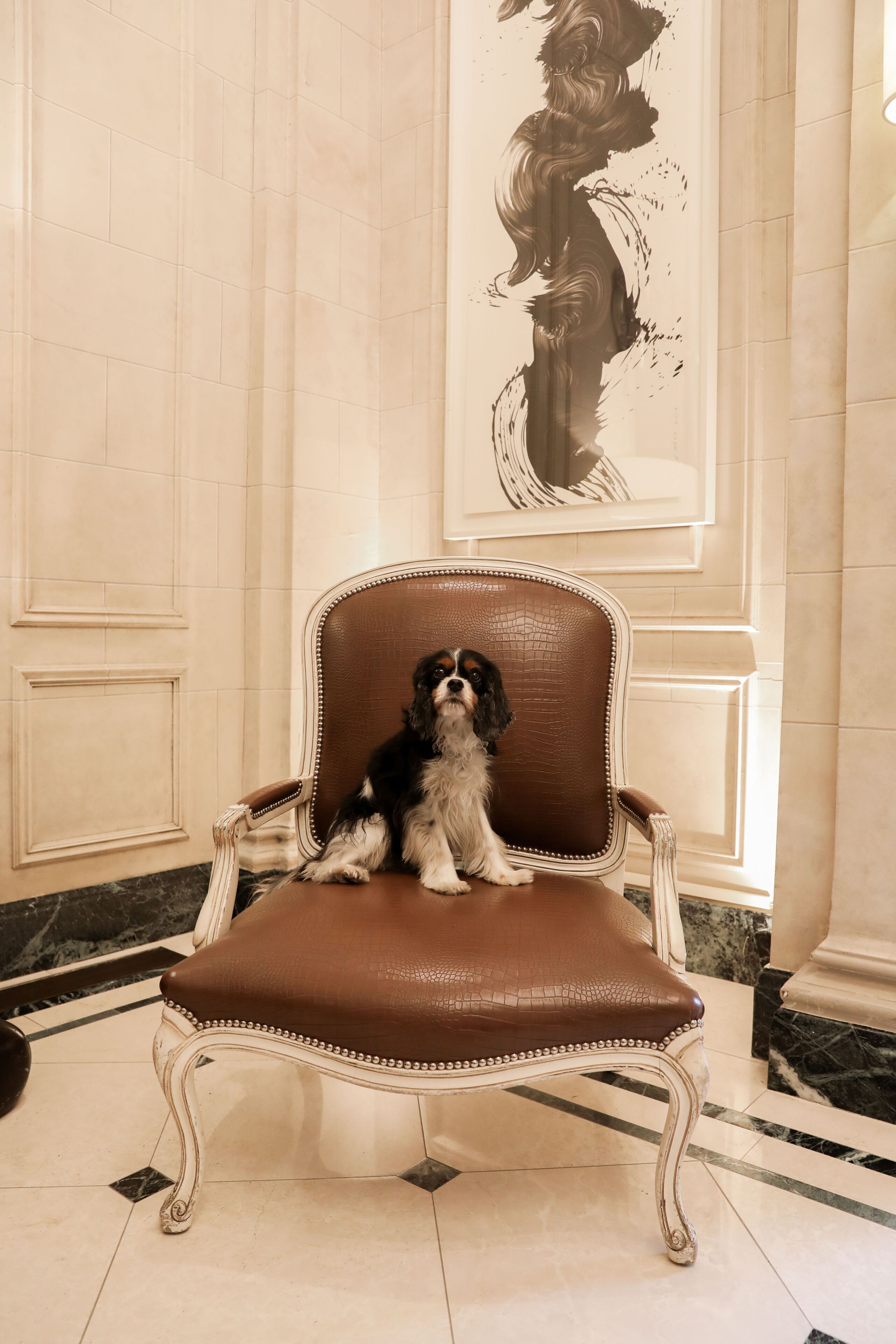 Foto - The Eliot Hotel