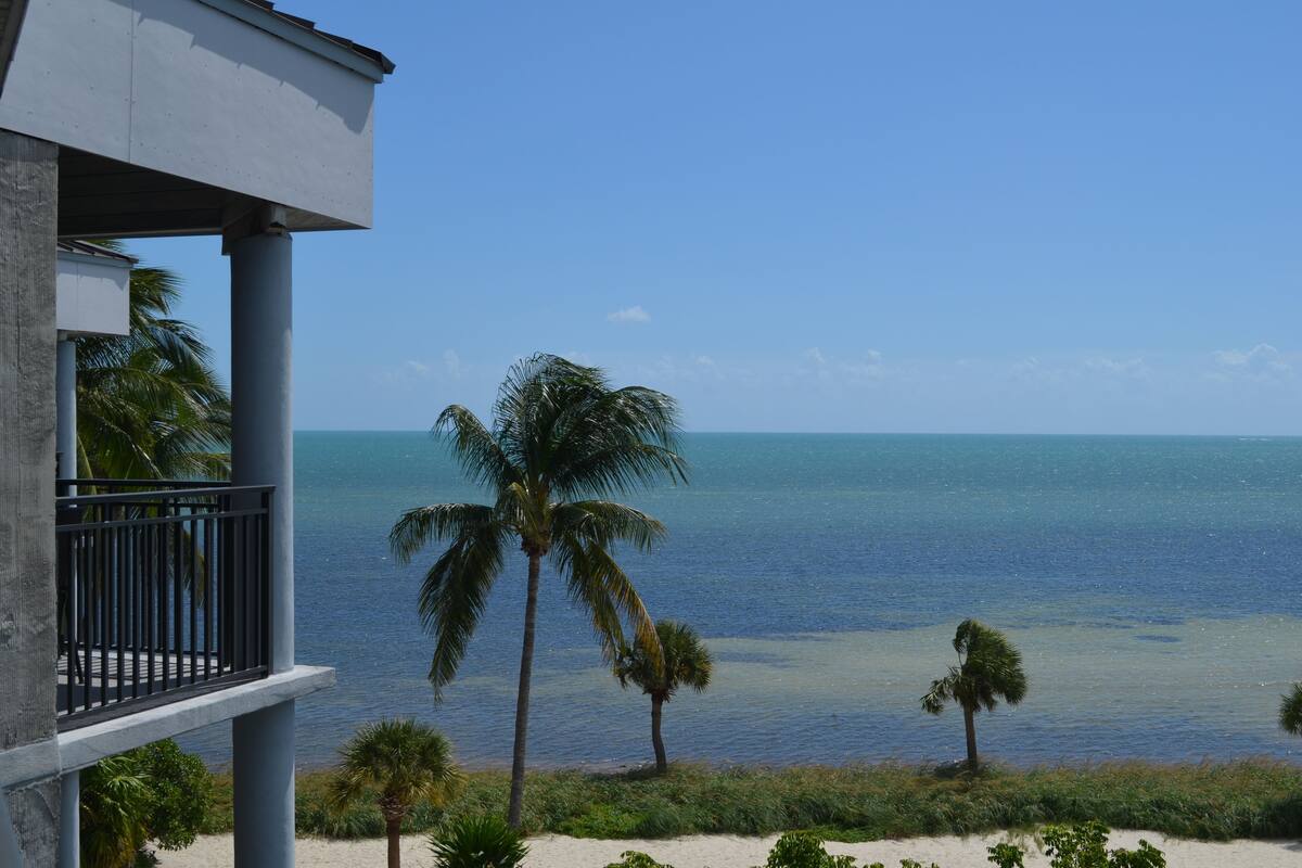 A balcony with a view of the ocean and palm trees.