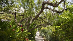 A pathway through a lush garden with various plants and trees. - 1800 Atlantic Suites (Key West)