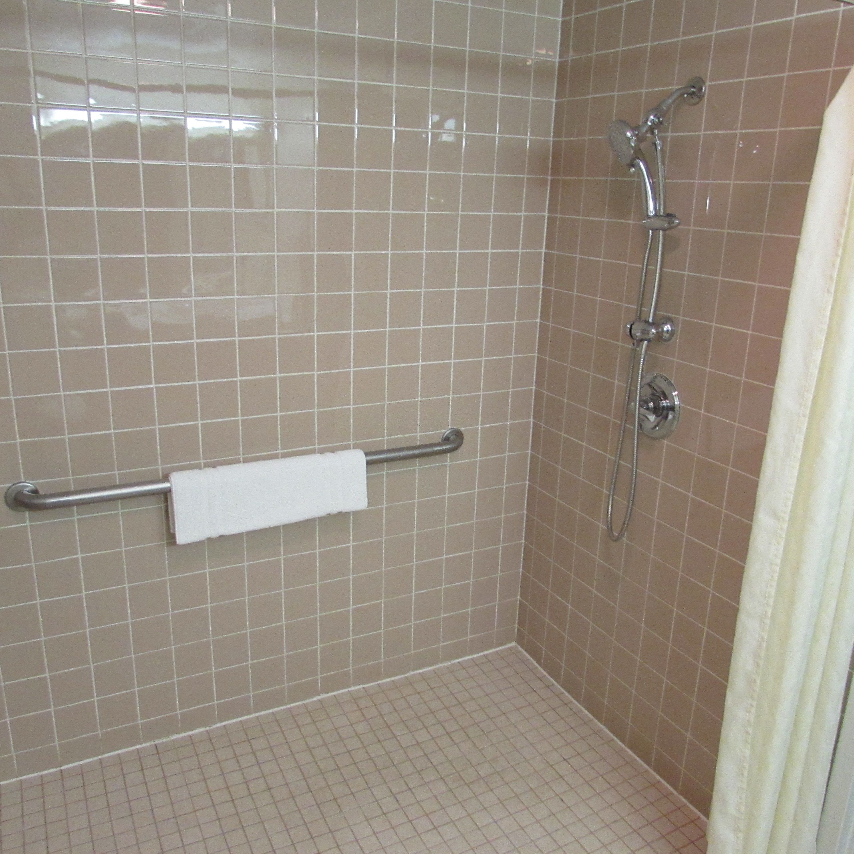 A shower area with a grab bar, a towel rack, and a showerhead.