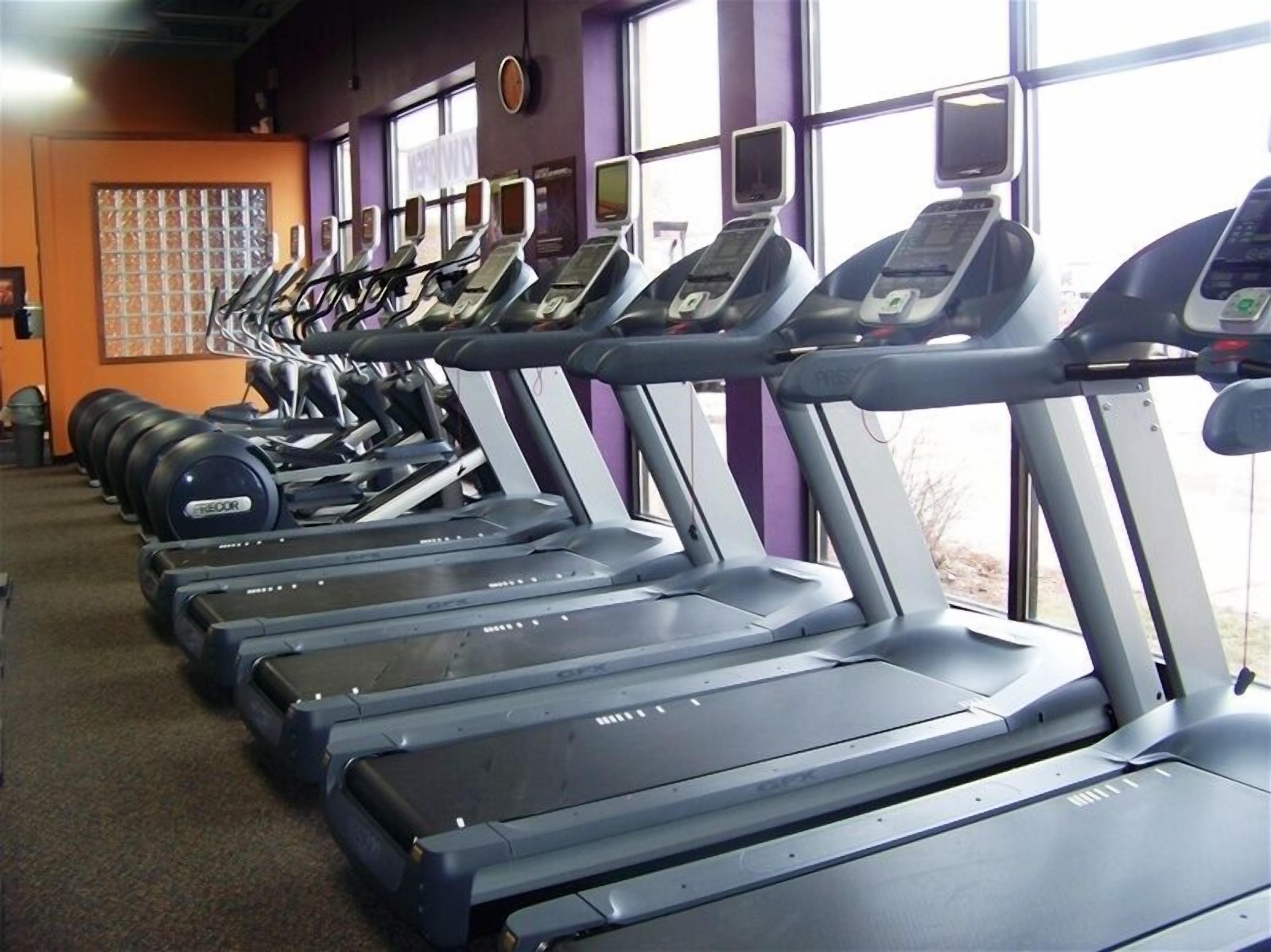 A row of treadmills in a gym with purple walls and windows.