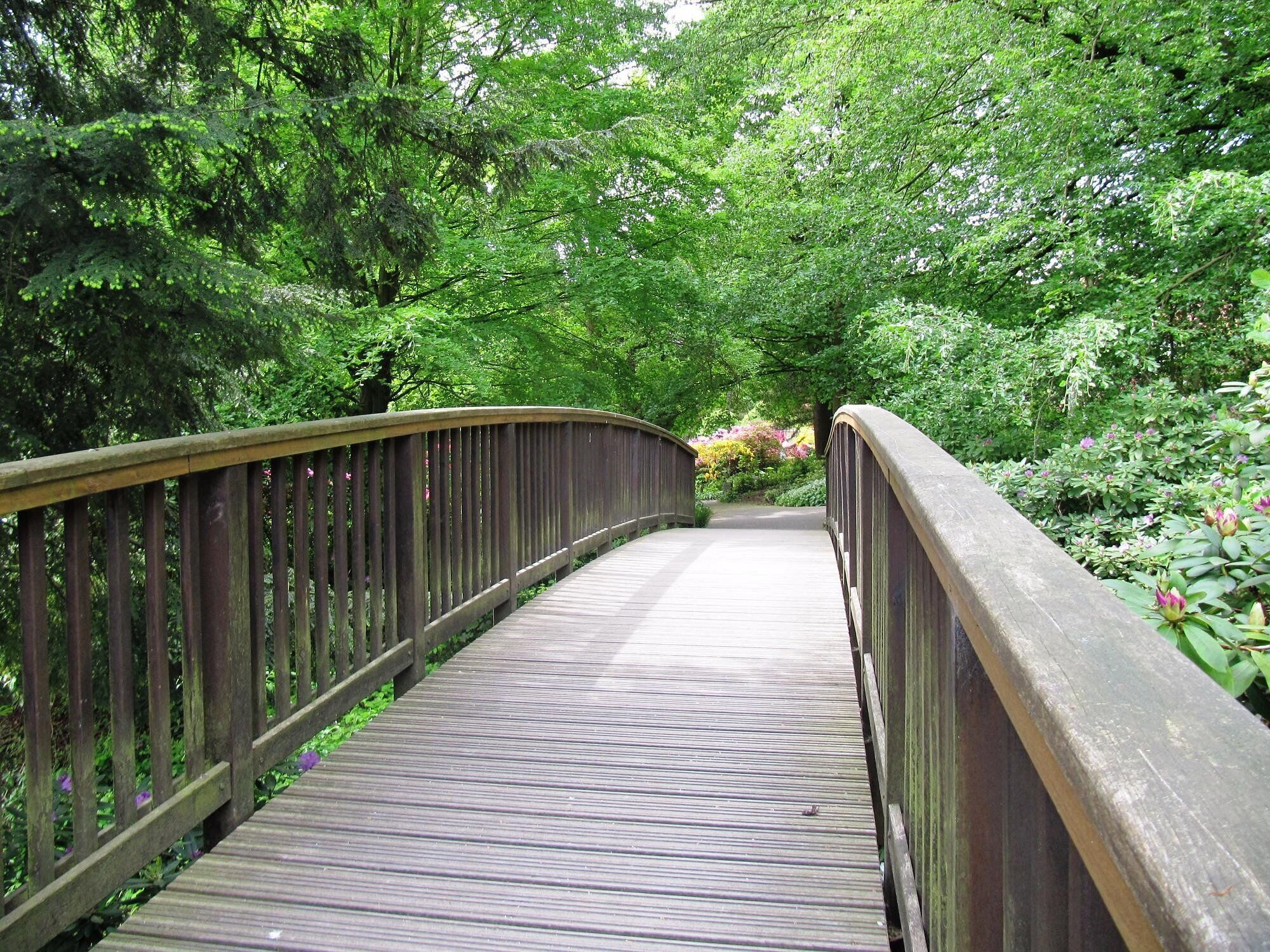 A wooden bridge in a lush green park.