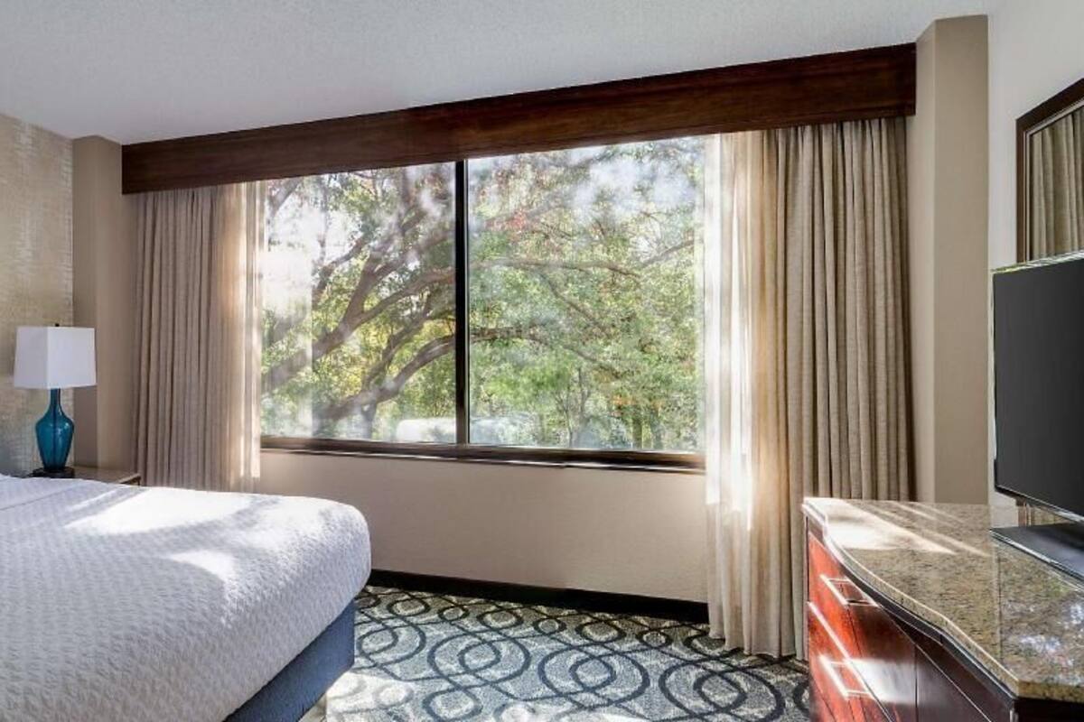 Habitación de hotel con una cama grande, televisión, escritorio y ventana con vista a árboles.