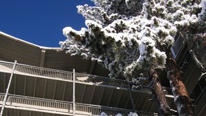 A multi-story building with balconies and a snow-covered tree. - Pepper Tree Inn (Tahoe City)