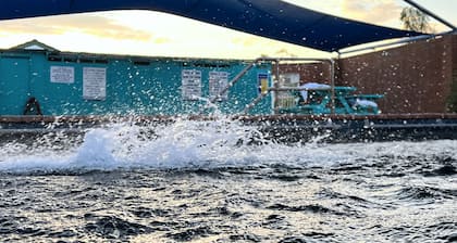 The Phoenix Artesian Spa Resort and Accommodation