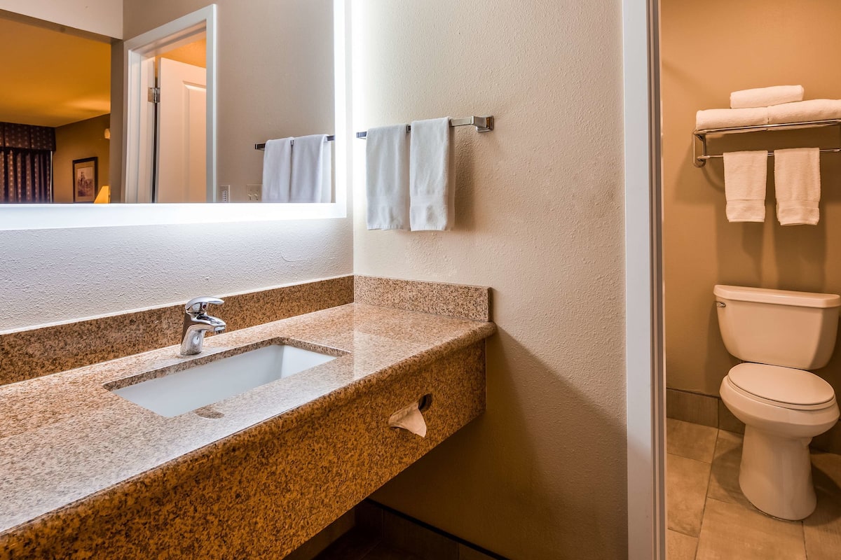 combined shower/bathtub, free toiletries, hair dryer, towels