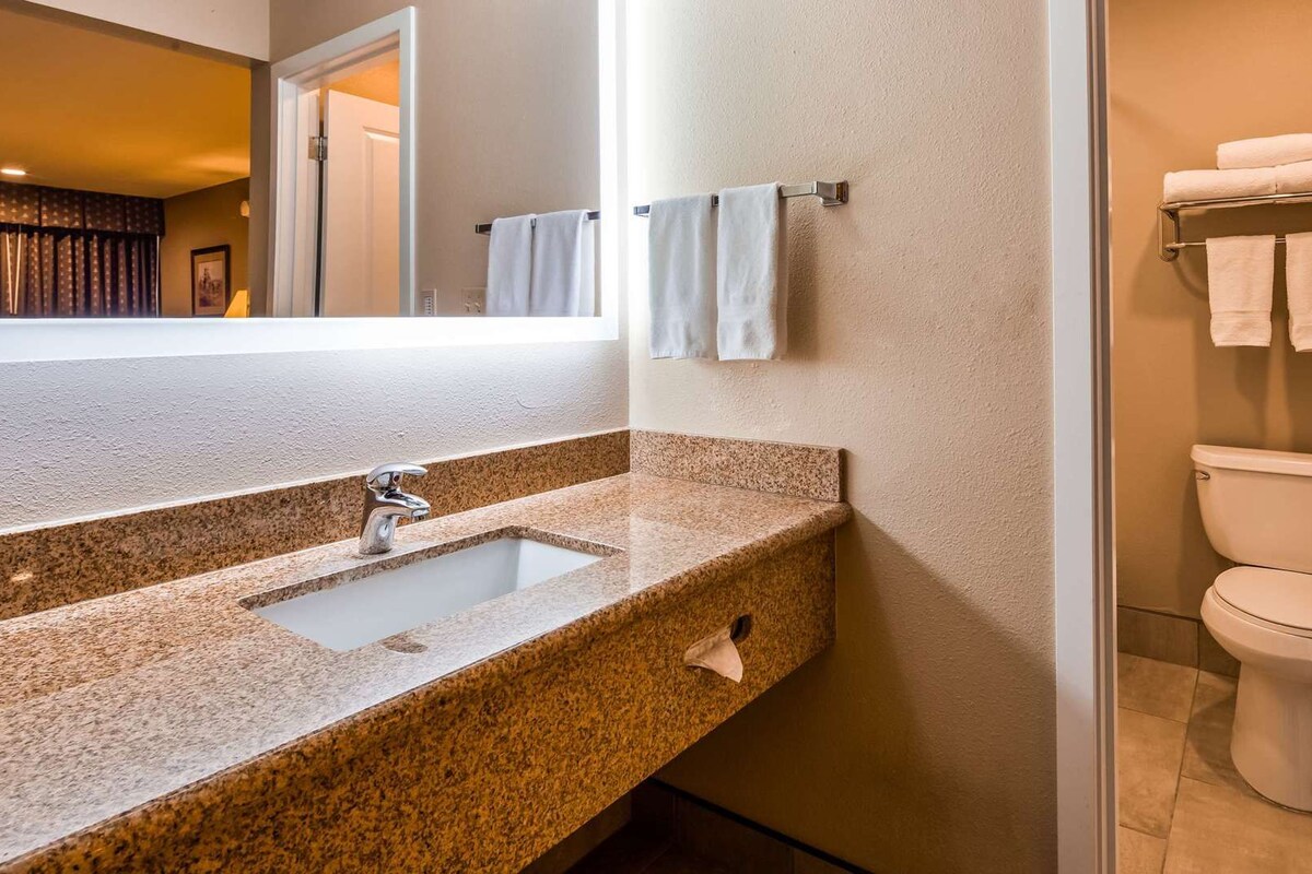 A bathroom with a granite countertop sink, a mirror, a toilet, and towel racks.