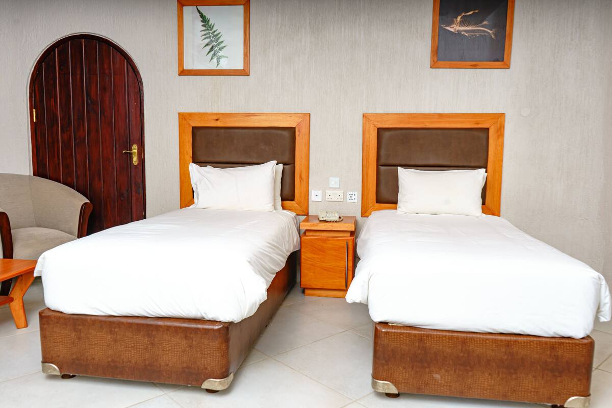 Sábanas de algodón egipcio, ropa de cama de alta calidad y edredón 