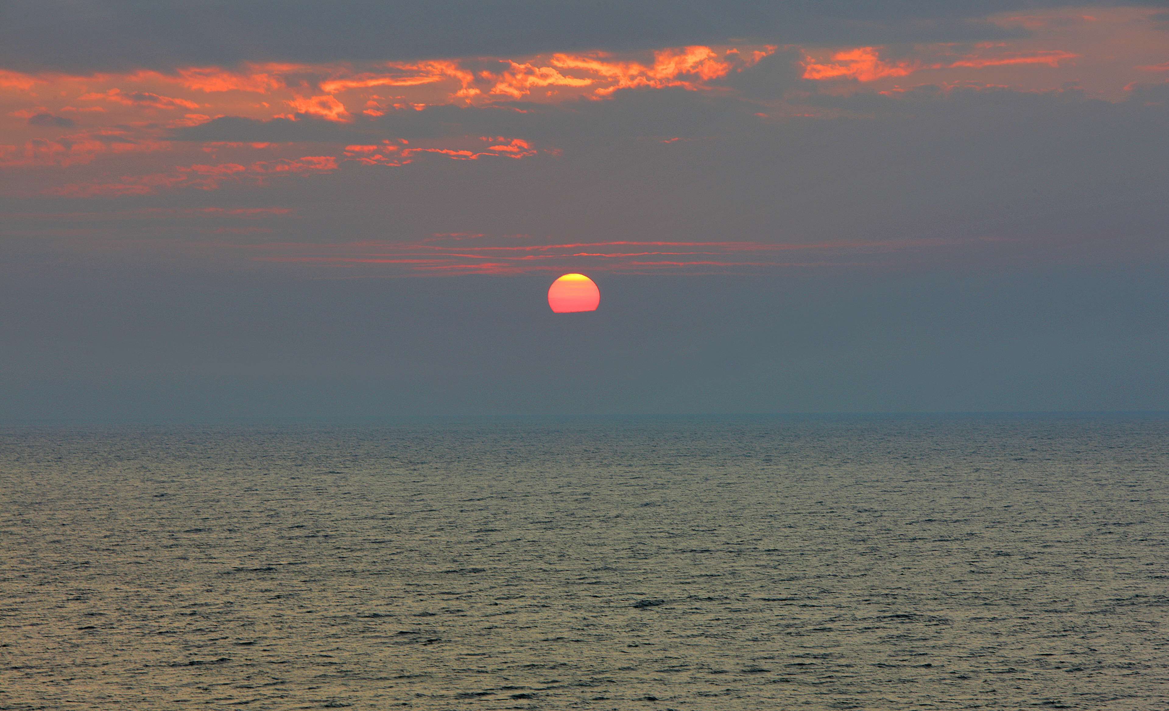 Foto - Hampton Inn Virginia Beach Oceanfront North