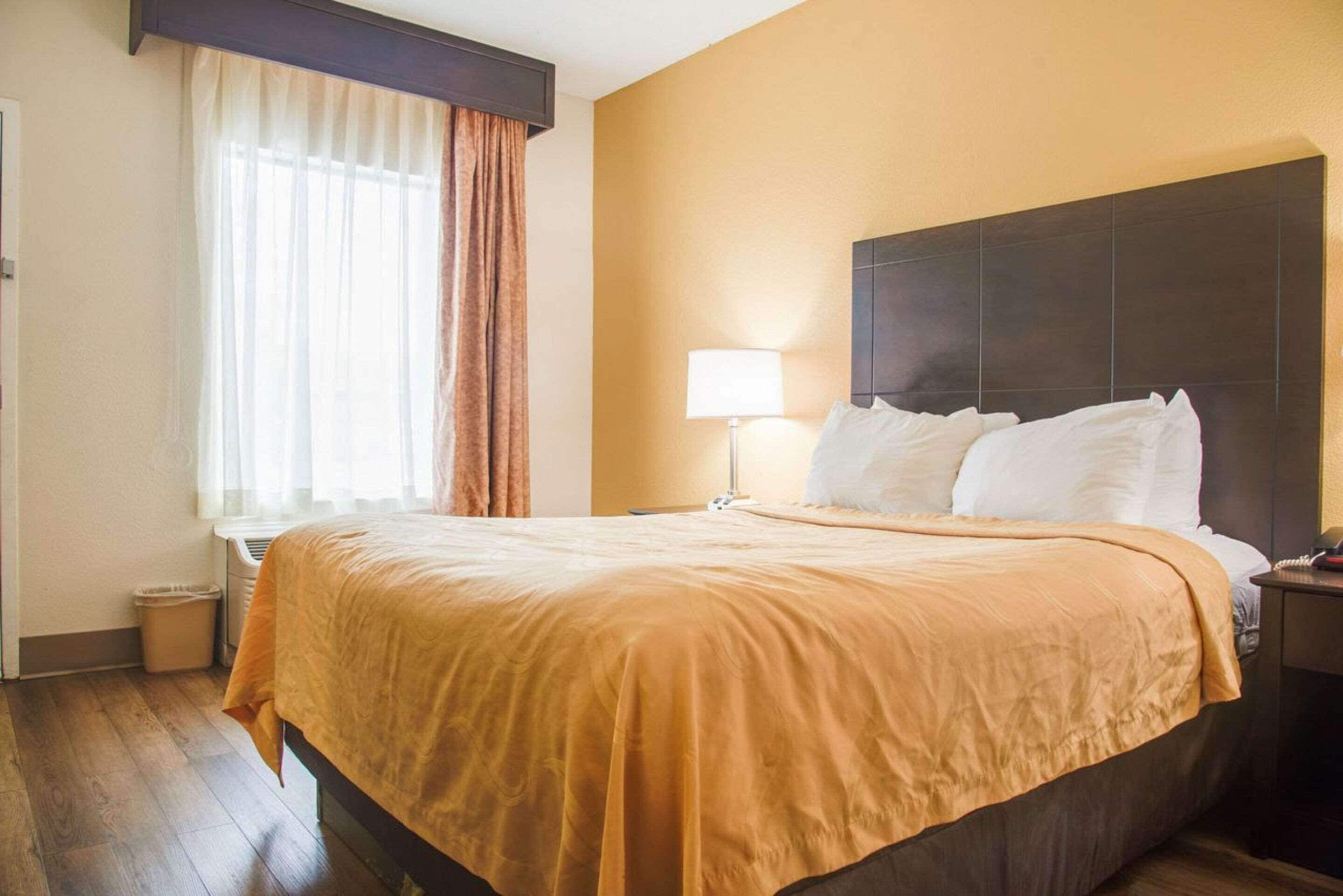 Una habitación de hotel con una cama grande, una mesita de noche, una lámpara, una ventana con cortinas y un cesto de basura.