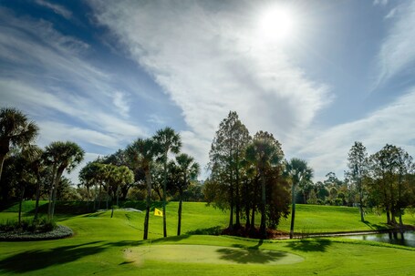 Hyatt Regency Grand Cypress - Image 9