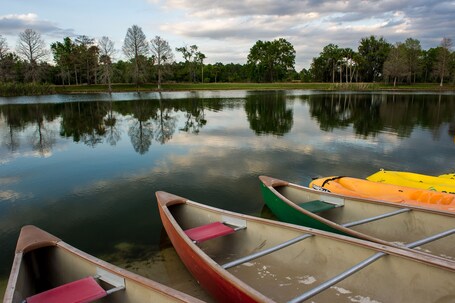 Hyatt Regency Grand Cypress - Image 58