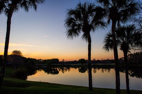 Hyatt Regency Grand Cypress - Image 31