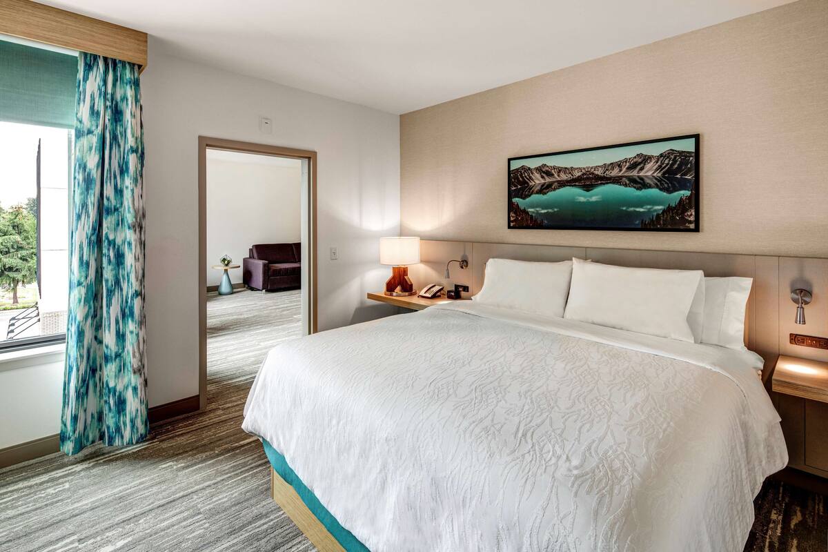 A hotel room with a large bed, a painting of a lake, a nightstand with a lamp, and a view of the outdoors through a window with a blue curtain.