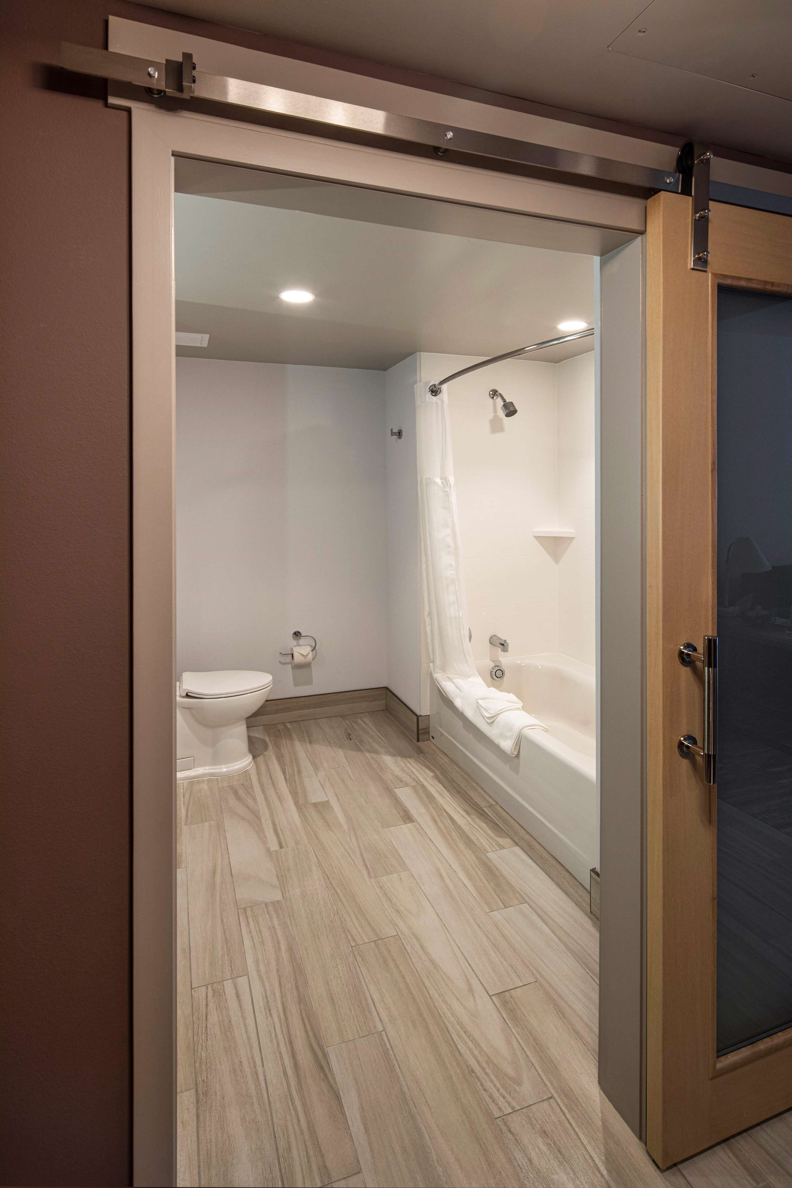 room, 1 king bed, accessible (roll-in shower) | bathroom | combined shower/bathtub, rainfall showerhead, free toiletries