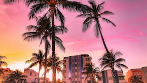 A multi-story hotel with a modern facade, palm trees in the foreground, and a pink sky in the background. - enVision Hotel Miami International Airport (Miami)