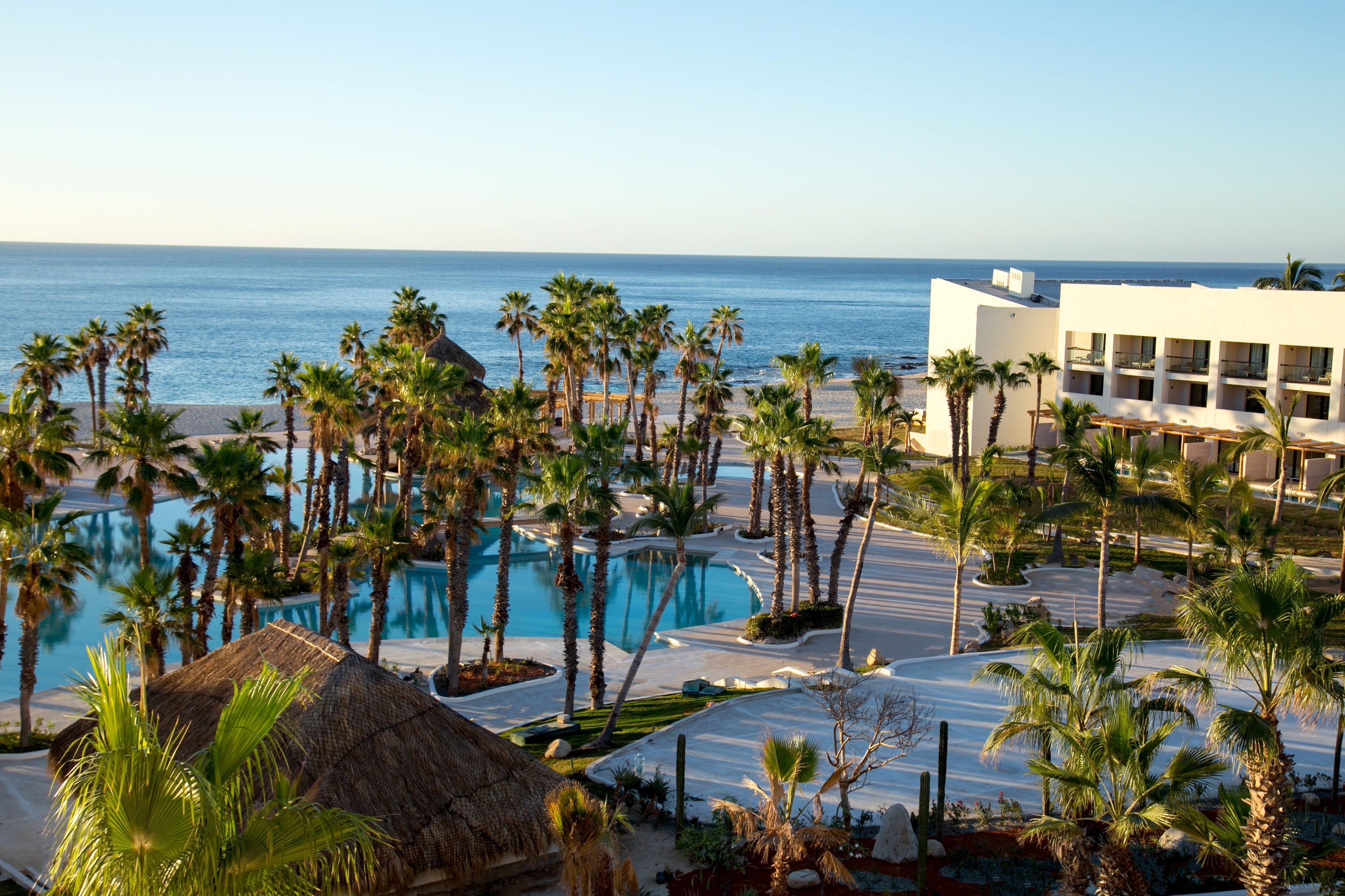 A resort with a swimming pool, palm trees, and a view of the ocean.