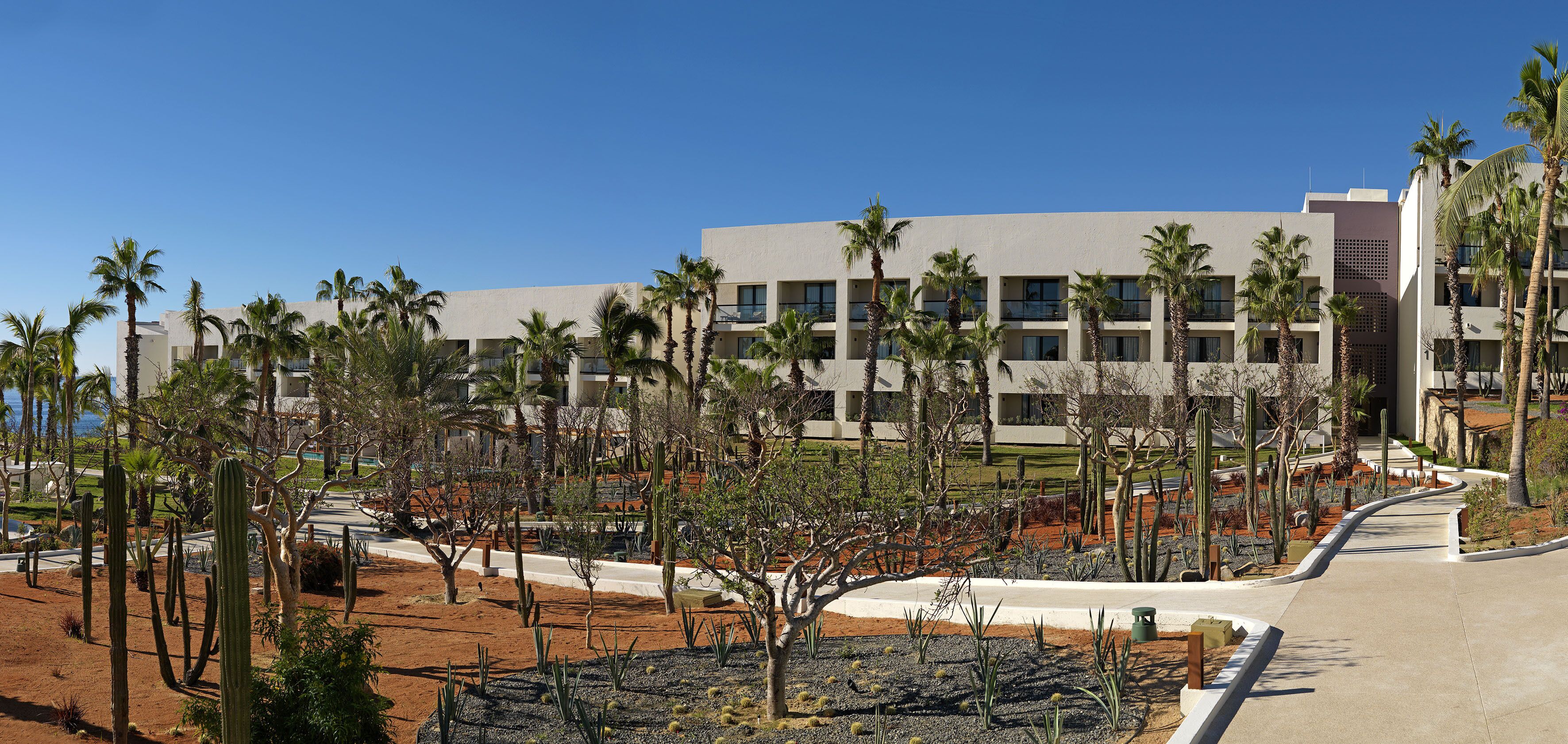 Junior Suite, Garden View | Garden view