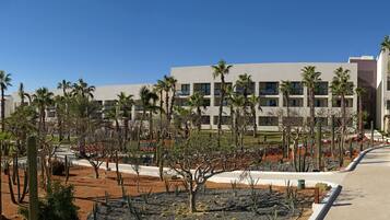 Junior Suite, Garden View | Garden view