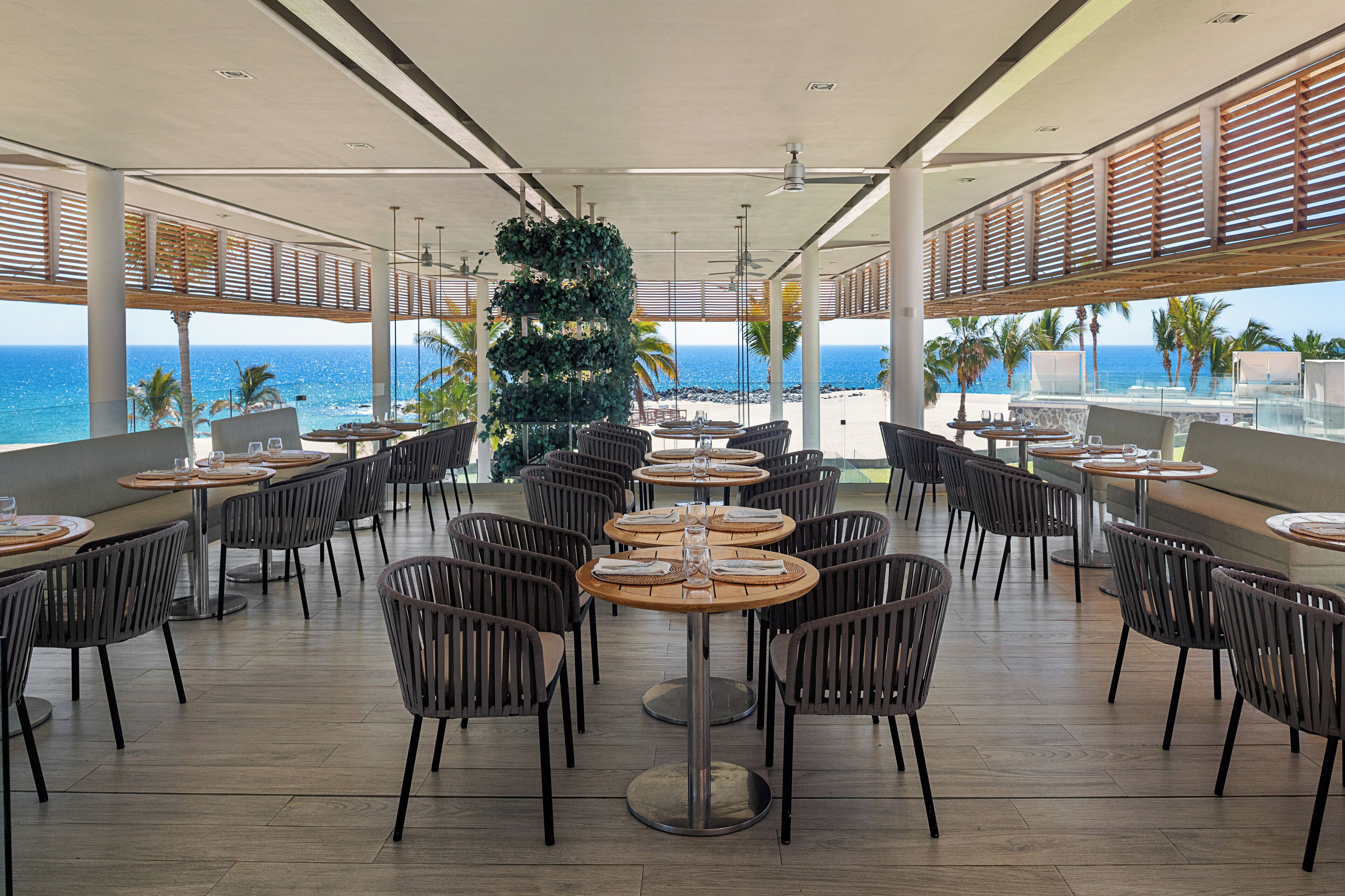 Foto - Paradisus Los Cabos - Adults Only - All Inclusive