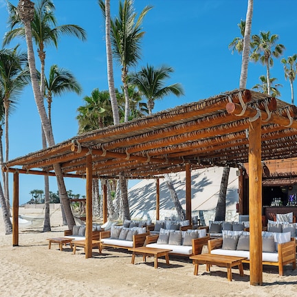 A beachside bar with wooden furniture and palm trees.