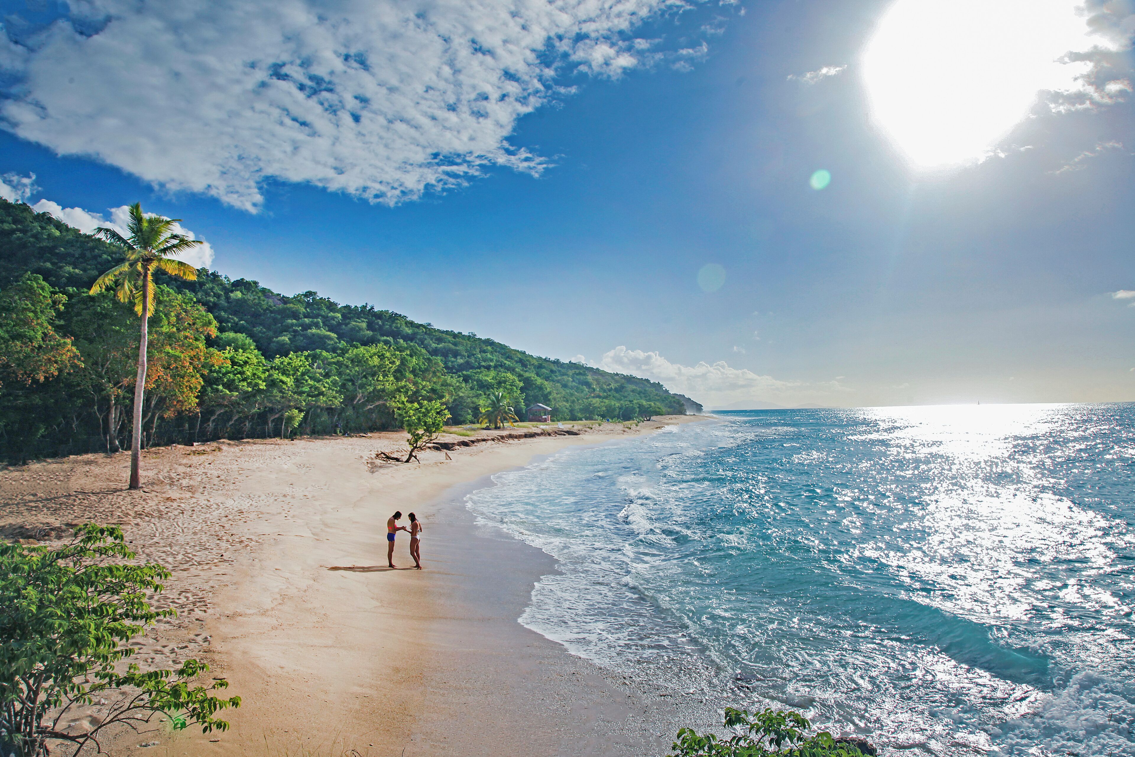 A beach with a clear sky, palm trees, and ocean waves.