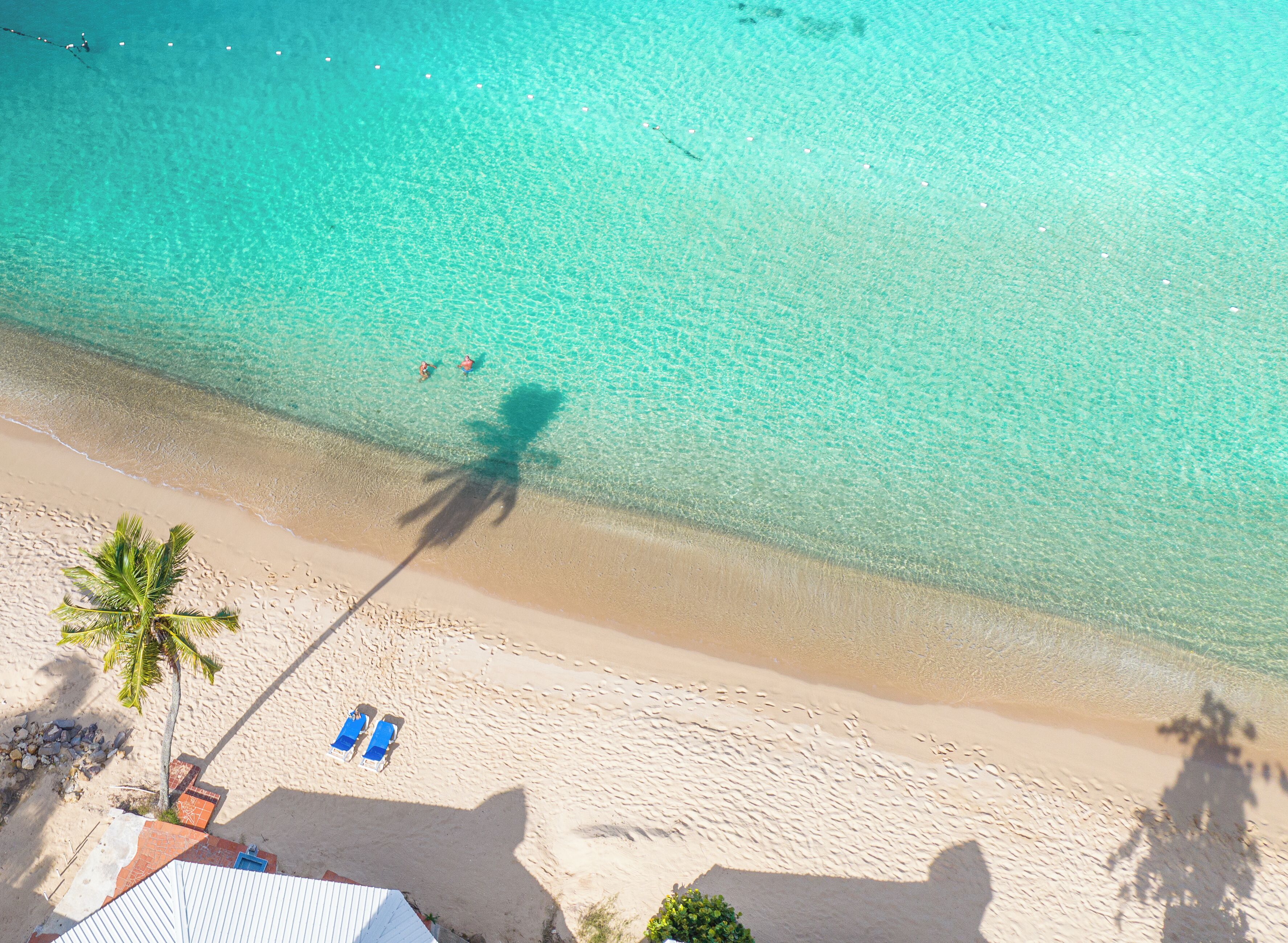 An aerial view of a beach with clear turquoise water, a palm tree, and two sun loungers on the sand.