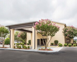 Un hotel con entrada cubierta, fachada color beige y árboles en floración color rosa.