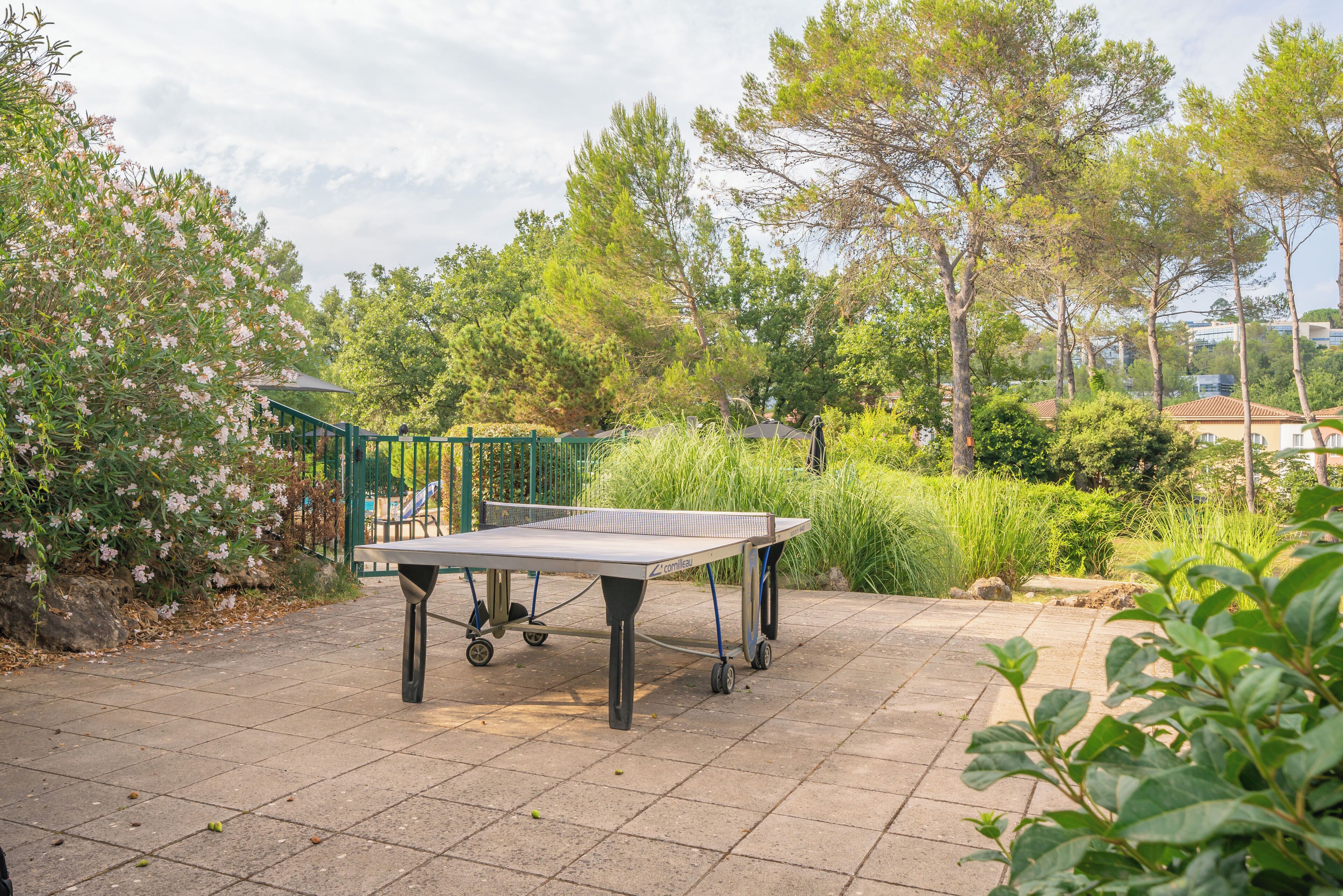 An outdoor ping pong table set up on a paved area with surrounding greenery and trees.