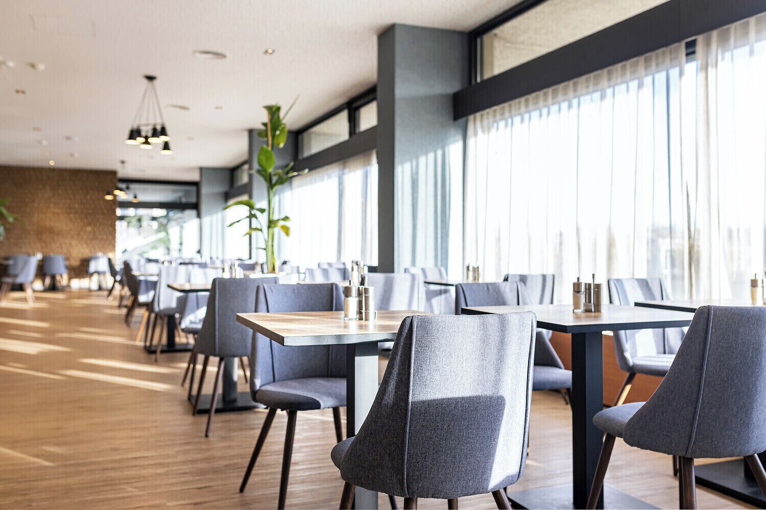 A modern dining area with tables and chairs, large windows, and a plant.