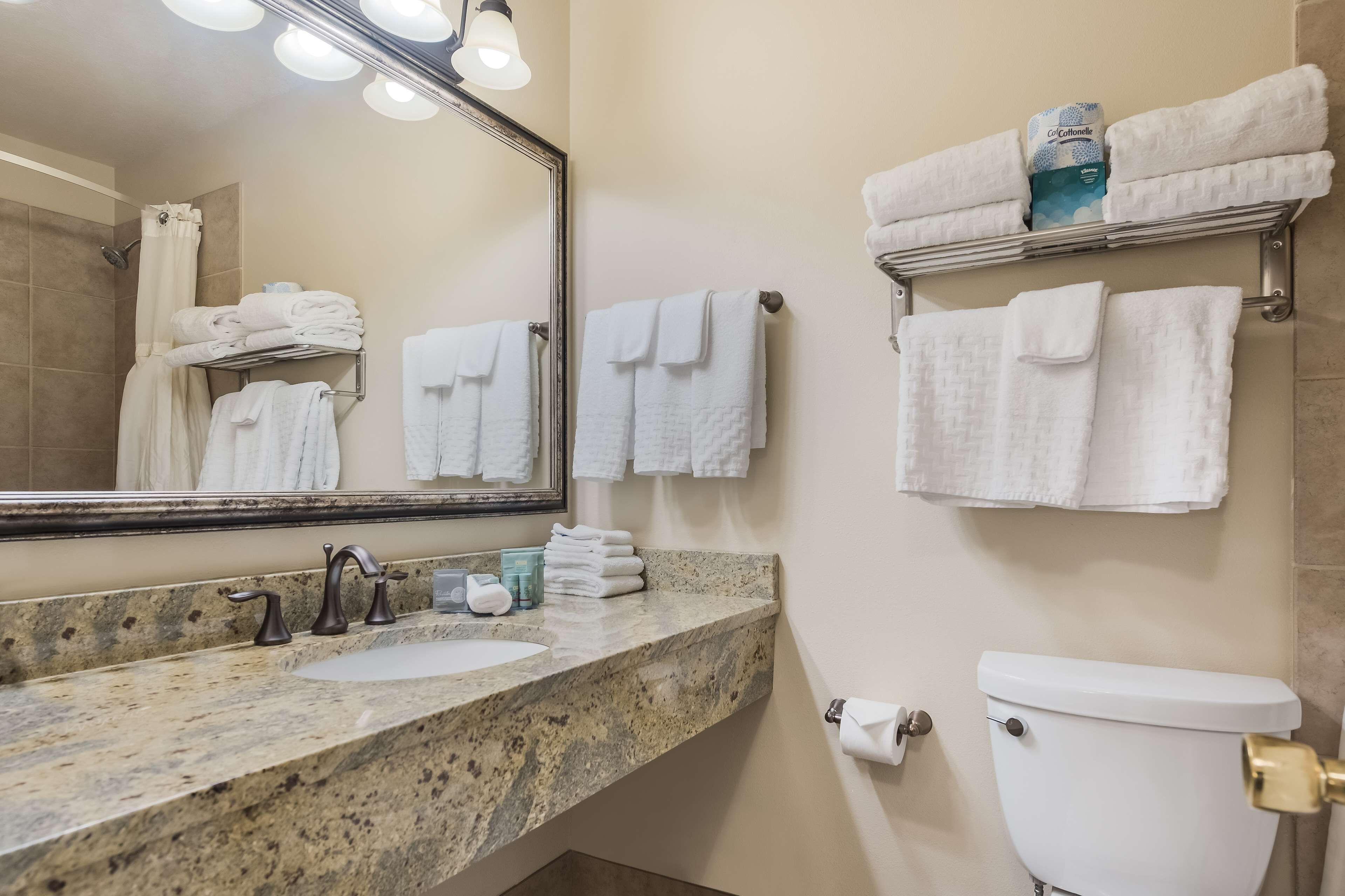 combined shower/bathtub, free toiletries, hair dryer, towels