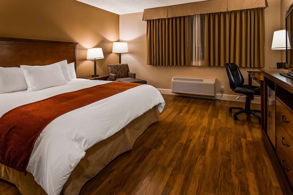 standard room, 1 king bed, non smoking (pet friendly) | down duvets, pillow-top beds, in-room safe, desk