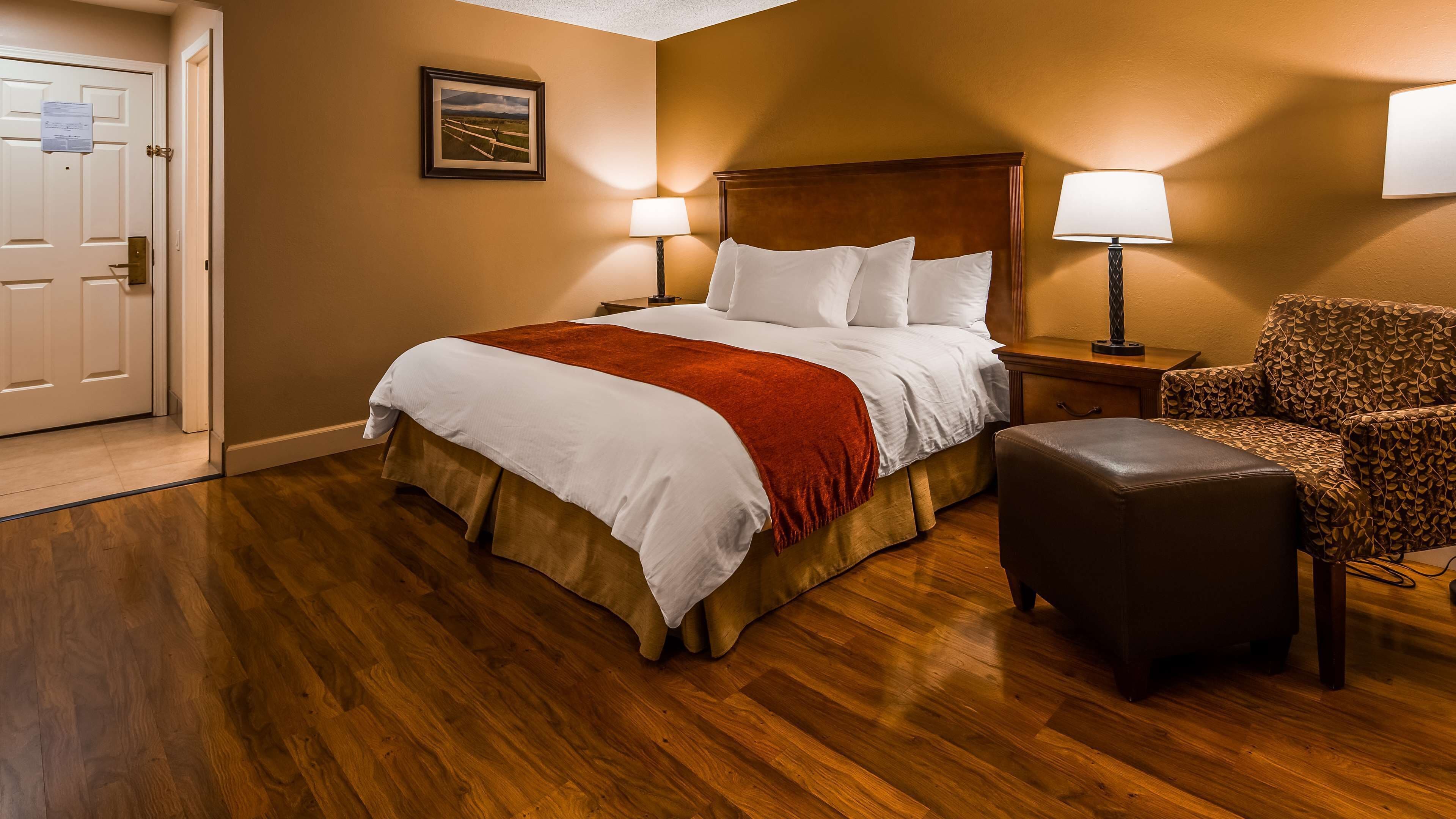 standard room, 1 king bed, non smoking (pet friendly) | down duvets, pillow-top beds, in-room safe, desk