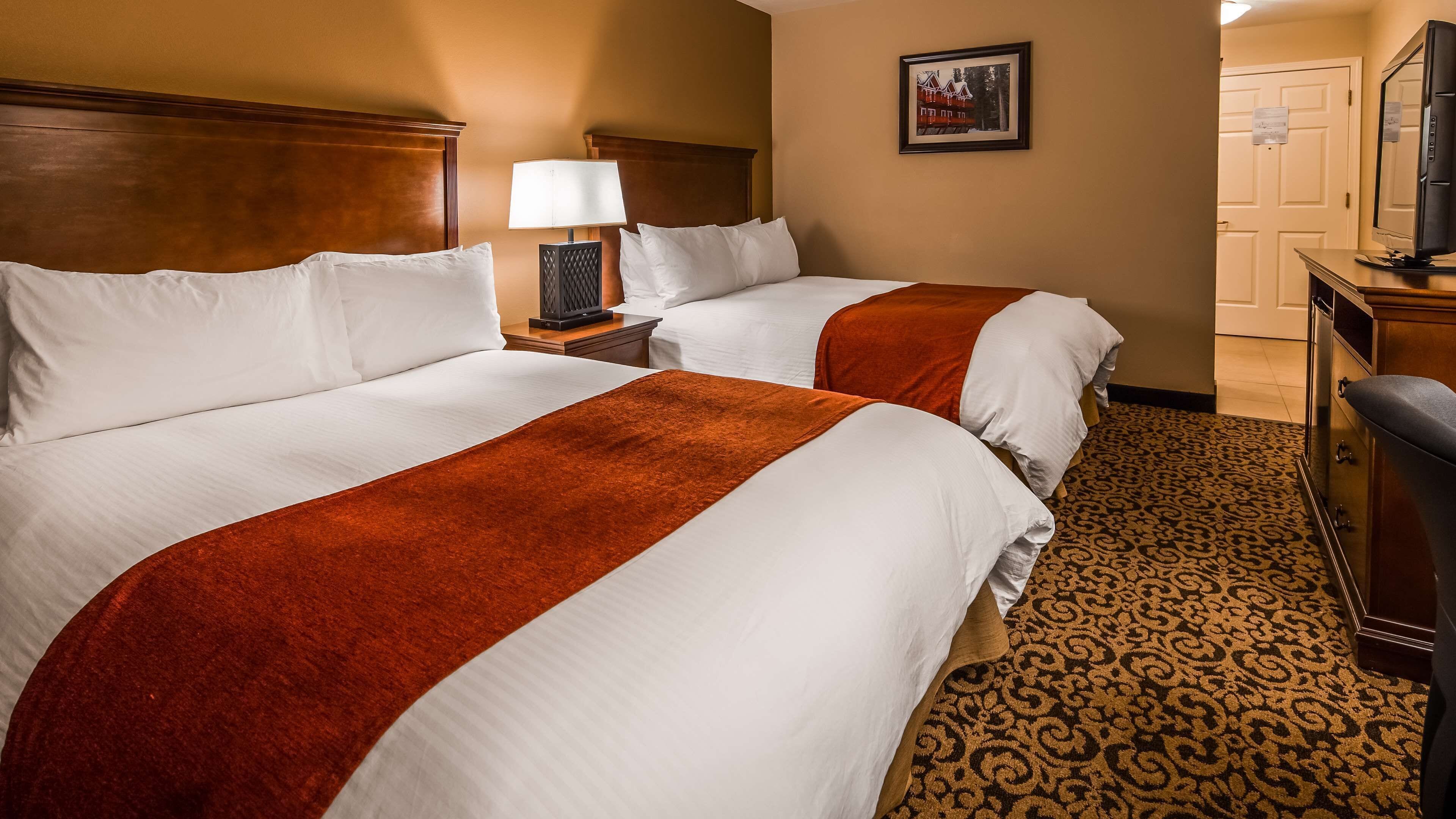 A hotel room with two beds, a nightstand with a lamp, a television, and a patterned carpet.