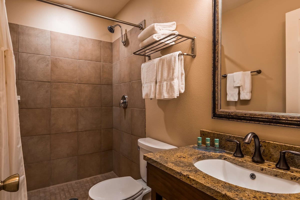 combined shower/bathtub, free toiletries, hair dryer, towels