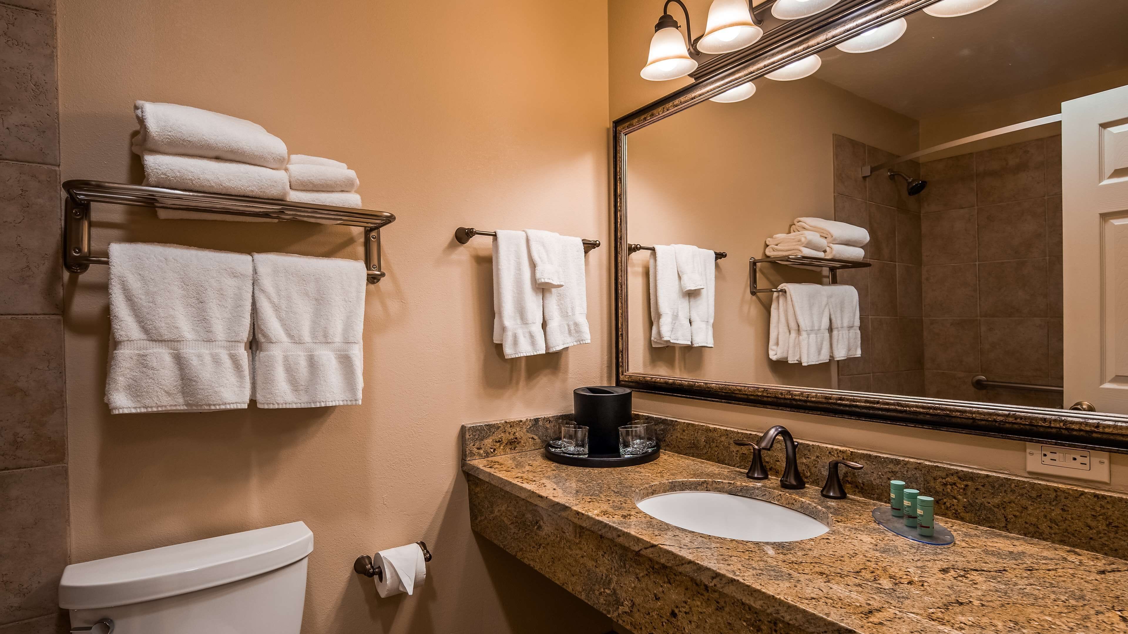 combined shower/bathtub, free toiletries, hair dryer, towels