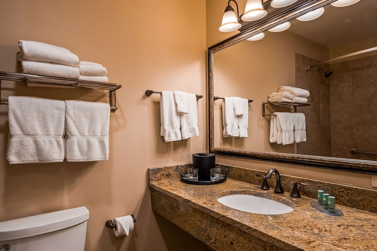 combined shower/bathtub, free toiletries, hair dryer, towels