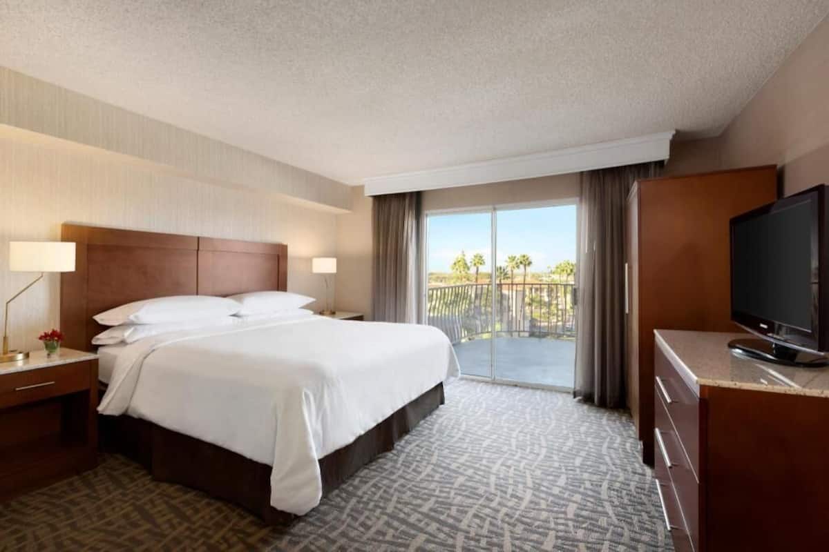 A hotel room with a large bed, a TV, a desk, and a balcony with a view of palm trees.
