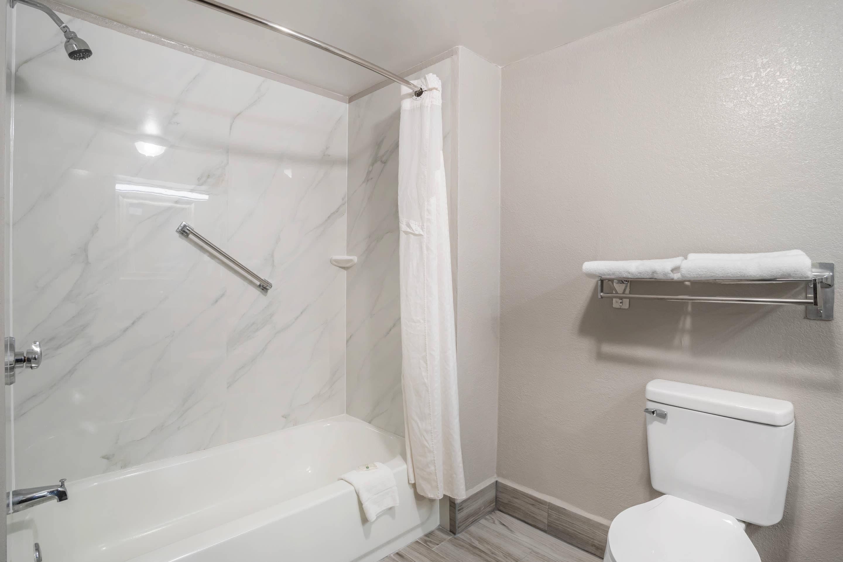 A bathroom with a shower, toilet, and towel rack.