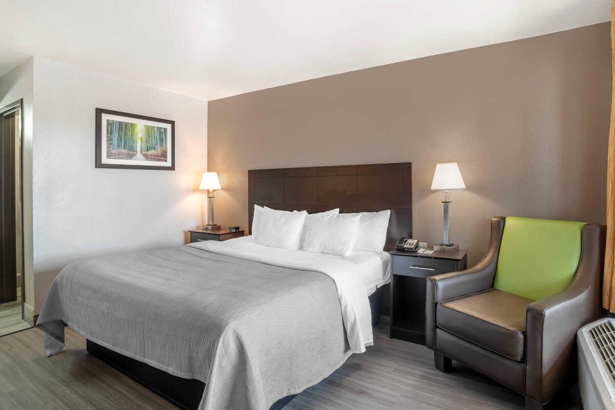 Standard Room, 1 King Bed, Non Smoking