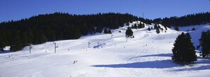 Sports d’hiver