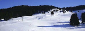 Sports dâhiver