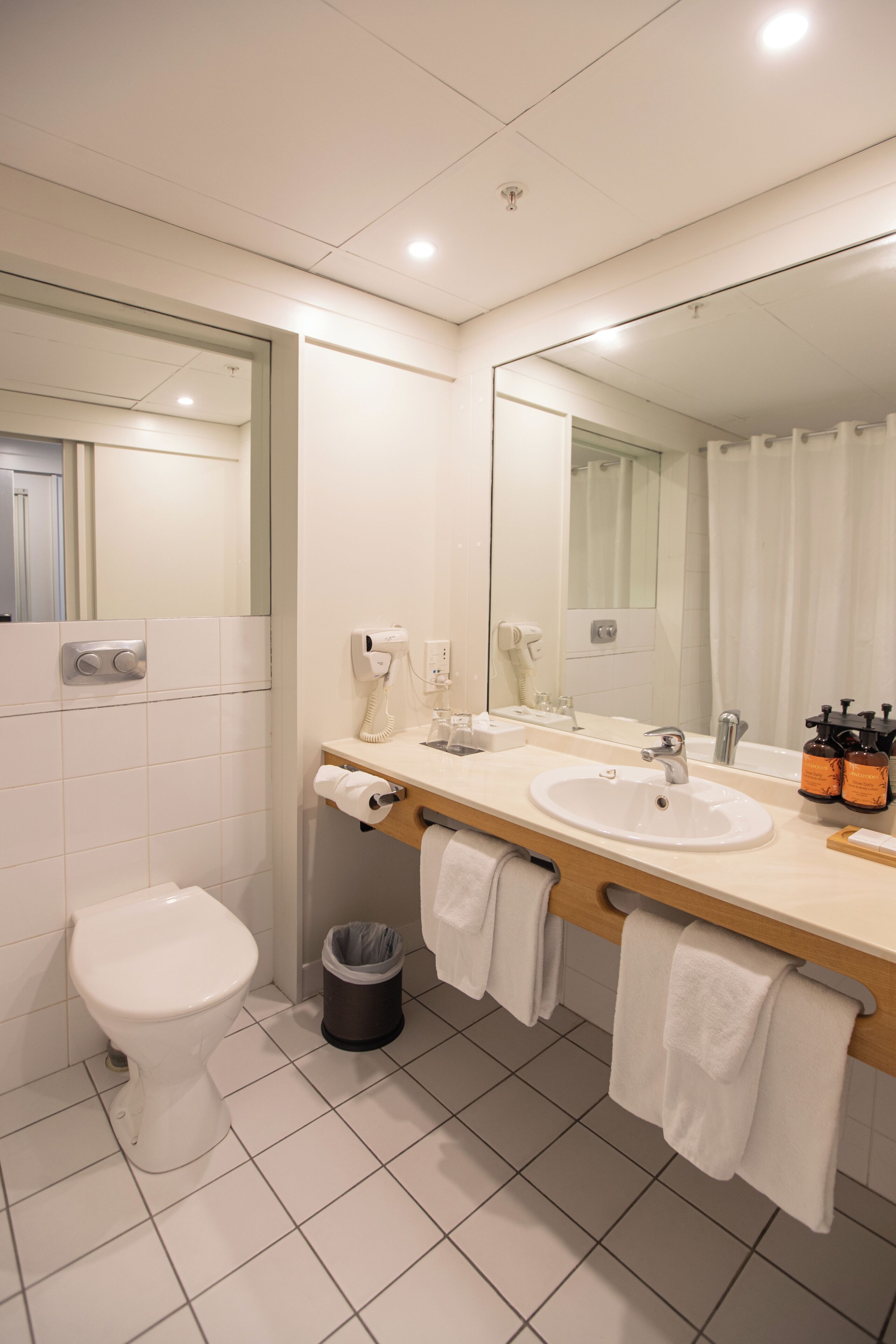 shower, free toiletries, hair dryer, towels