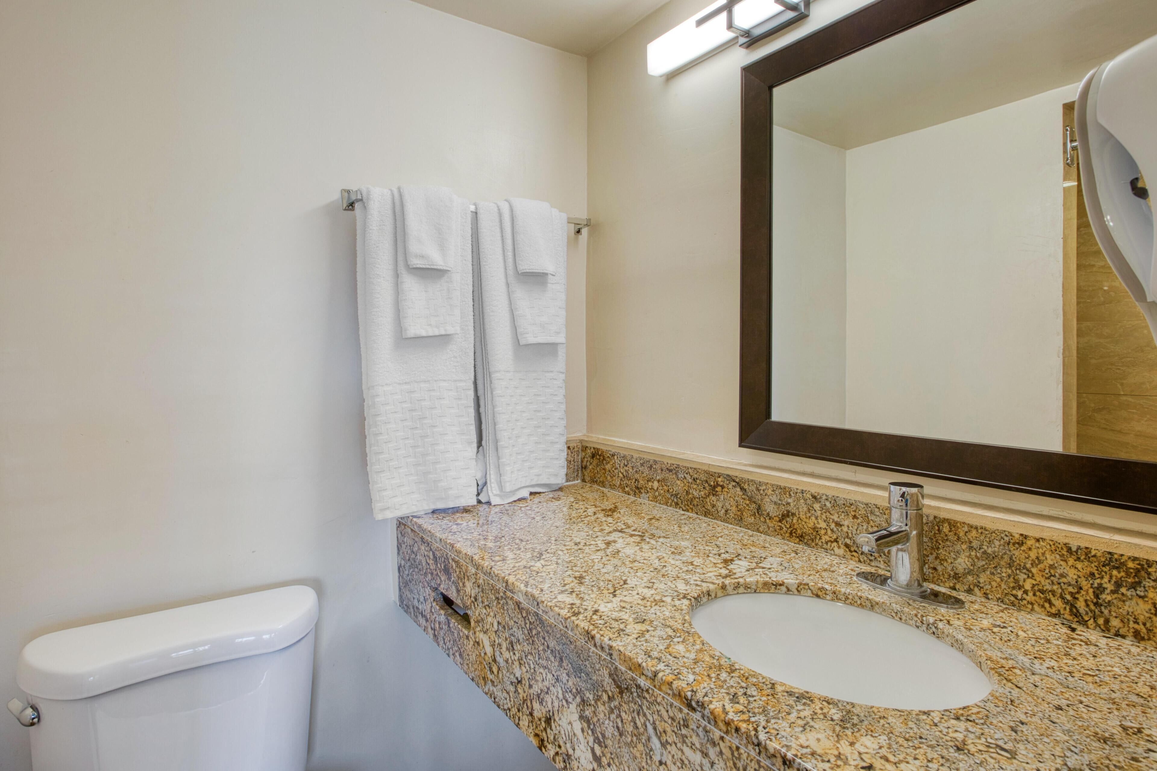 A bathroom with a white toilet, a granite countertop sink, and a large mirror.