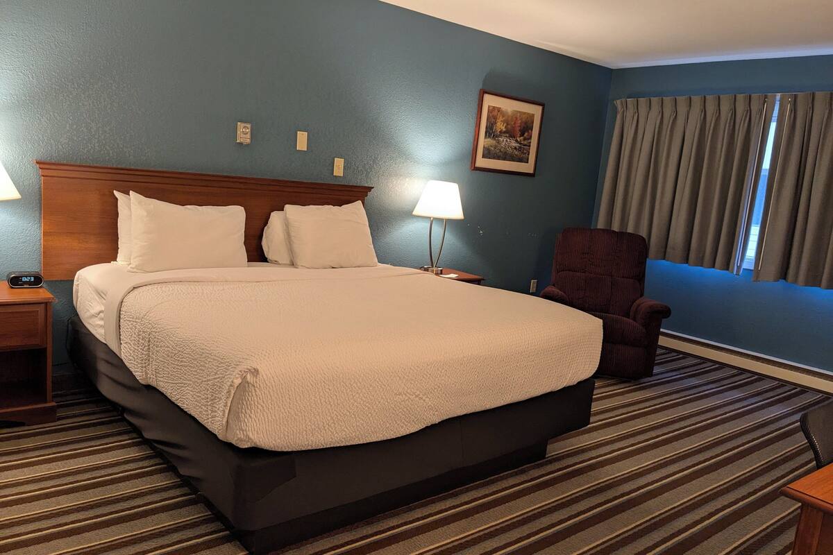 Room, 1 King Bed, Non Smoking | Desk, iron/ironing board, WiFi (free), alarm clocks