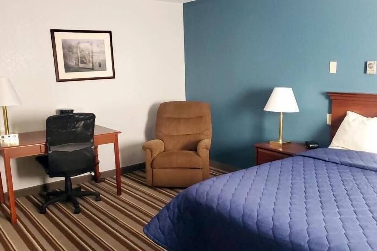 A hotel room with a bed, a desk, a chair, a nightstand, and a lamp.