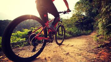 Ein Mountainbike auf einem Feldweg, umgeben von viel Grün.