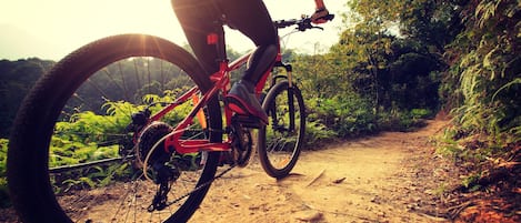 Una bicicleta de montaña sobre un sendero de tierra rodeado de follaje.