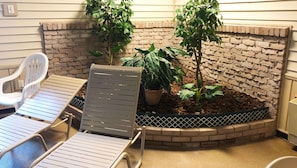Indoor pool, open 10:00 AM to 11:00 PM, pool loungers