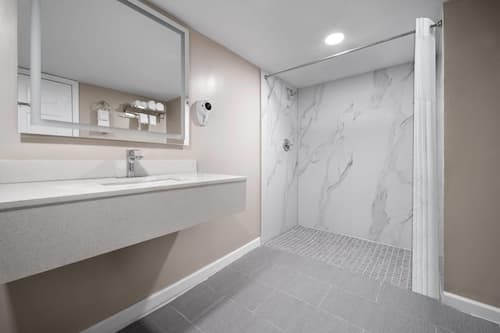 Bagno accessibile ai disabili